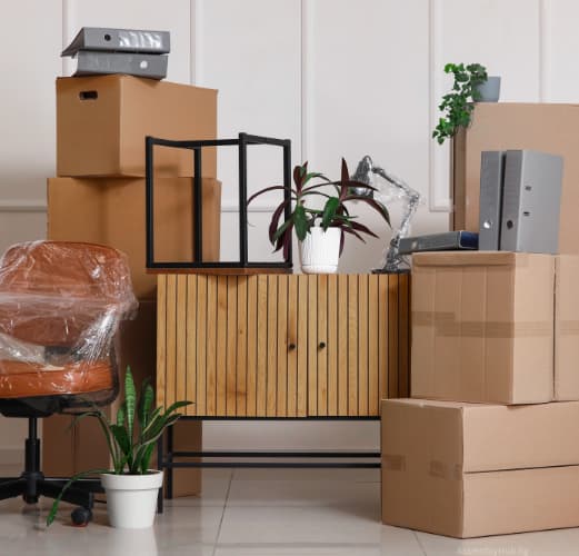 Professional Assembler